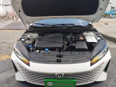 Changan Yida Blue Whale NE 1.5T GDI DCT flagship - фото 20