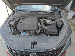 Ford Eado PLUS 1.4T dual-clutch high-energy version - фото 20