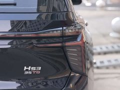 Hongqi HS3 2023 1.5T two-wheel drive good version - фото 10