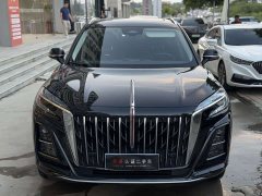 Hongqi HS3 2023 1.5T two-wheel drive good version - фото 4