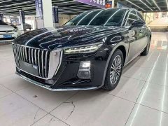 Hongqi H5 1.5T DCT Zhilian Qiyun Edition - фото 1