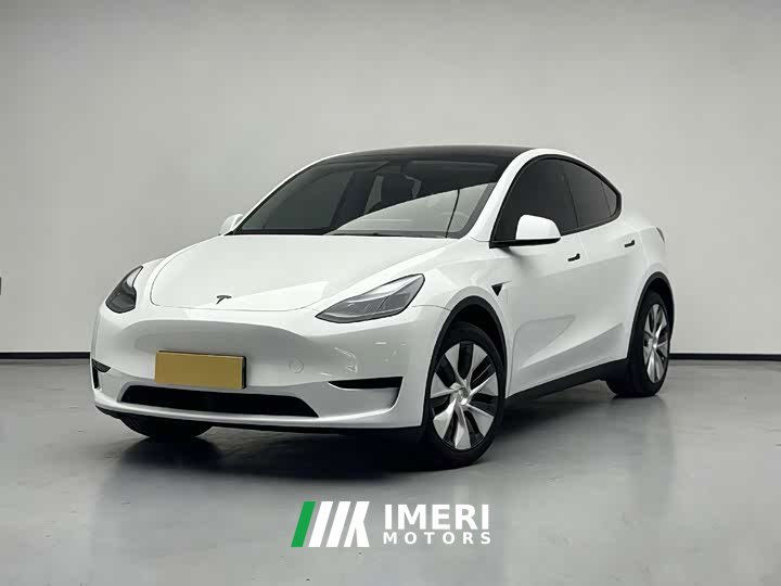 Tesla Model Y rear-wheel drive version - автомобиль из Китая