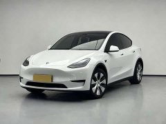 Tesla Model Y rear-wheel drive version - фото 1