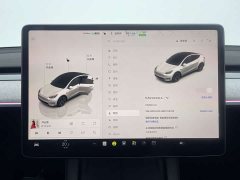 Tesla Model Y rear-wheel drive version - фото 15