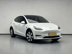 Tesla Model Y rear-wheel drive version - фото 4