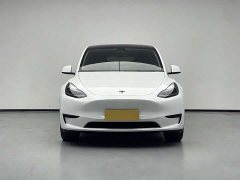 Tesla Model Y rear-wheel drive version - фото 5