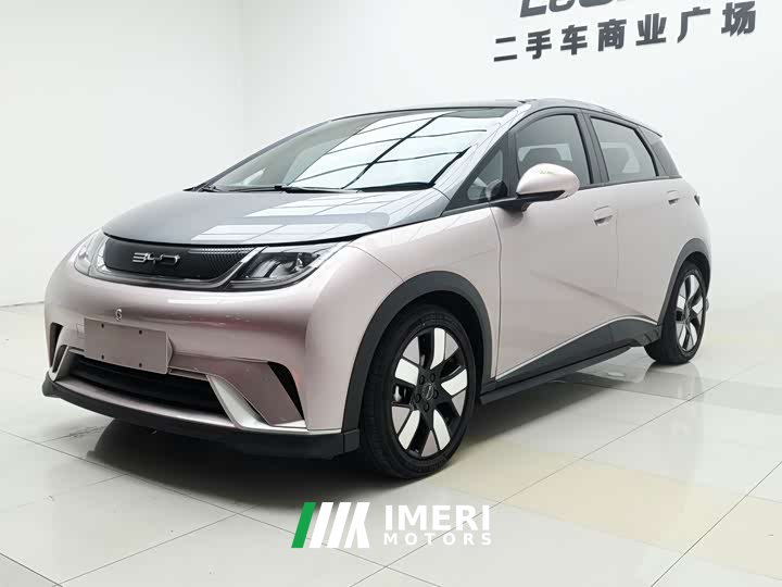 BYD Dolphin 2021 401km Rider Edition - автомобиль из Китая