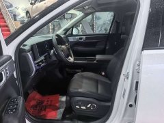 Shengda Santa Fe 2024 2.0T Connoisseur Pro Max - фото 6