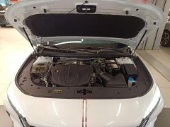 Hongqi H6 2.0T Zhishang Edition - фото 20