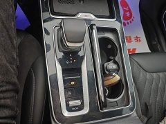 Hongqi HS5 2.0T Qixiang Pro version - фото 10