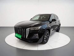 Hongqi HS5 2023 2.0T Qixiang Pro version - фото 2