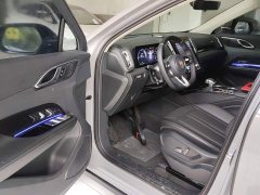 Hongqi HS3 PHEV 2024 115km Jinwei Edition - фото 12