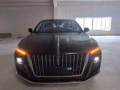Hongqi H5 2025 2.0T automatic Qichang version - фото 3