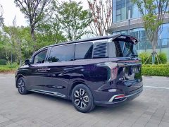 Hongqi HQ9 2.0T Zhilian Flagship Edition - фото 10