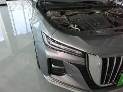 Hongqi H5 2023 2.0T Automatic Zhilianqichang Edition - фото 13