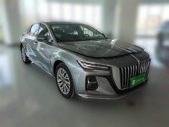 Hongqi H5 2023 2.0T Automatic Zhilianqichang Edition - фото 7