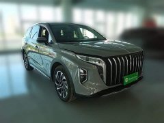 Hongqi HS7 PHEV 2.0T PHEV four-wheel drive flag collar version 6 seats - фото 7