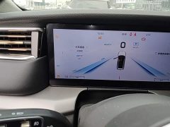 Hongqi HS7 PHEV 2.0T PHEV four-wheel drive Qichang version 7 seats - фото 19