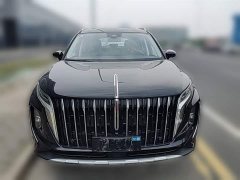 Hongqi HS7 PHEV 2.0T PHEV four-wheel drive Qichang version 7 seats - фото 5