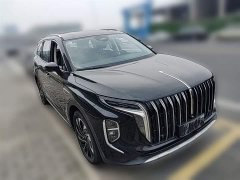 Hongqi HS7 PHEV 2.0T PHEV four-wheel drive Qichang version 7 seats - фото 7