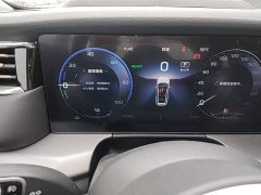 Hongqi HS7 PHEV 2.0T PHEV four-wheel drive flag collar version 6 seats - фото 19