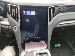 Hongqi HS7 PHEV 2.0T PHEV four-wheel drive flag collar version 6 seats - фото 20