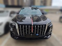 Hongqi HS5 2023 2.0T four-wheel drive Qixiang Pro version - фото 5