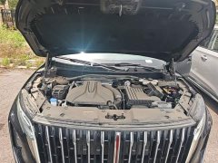 Hongqi HS7 PHEV 2.0T PHEV four-wheel drive Qichang version 6 seats - фото 20