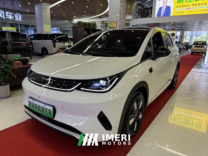 BYD Dolphin smart driving version 410km fashion version - автомобиль из Китая