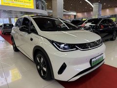 BYD Dolphin smart driving version 410km fashion version - фото 3