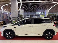 BYD Dolphin smart driving version 410km fashion version - фото 4