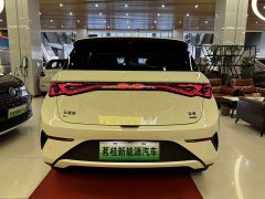 BYD Dolphin smart driving version 410km fashion version - фото 9