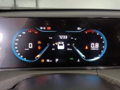 Ford Eado Enjoy Edition PLUS Blue Whale NE 1.4T GDI DCT Premium Edition - фото 14
