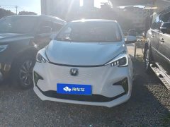 Changan Benben E-Star 2020 Heartbeat Edition ternary lithium - фото 2