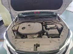 Ford Eado 2020 PLUS 1.6L GDI manual luxury - фото 20
