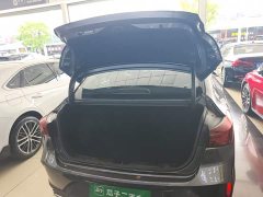 Ford EADO 2021 PLUS Blue Whale NE 1.4T GDI DCT Premium Type - фото 19