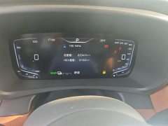 Hongqi HQ9 PHEV 2.0T four-wheel drive business version - фото 12