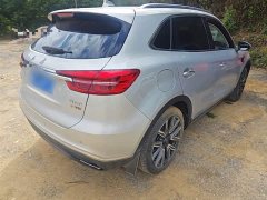 Hongqi HS5 2022 facelift 2.0T Zhilian Qixiang four-wheel drive version - фото 7