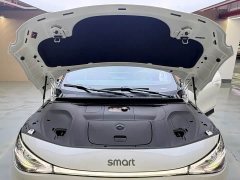 smart Elf #3 Pulse four-wheel drive version - фото 13