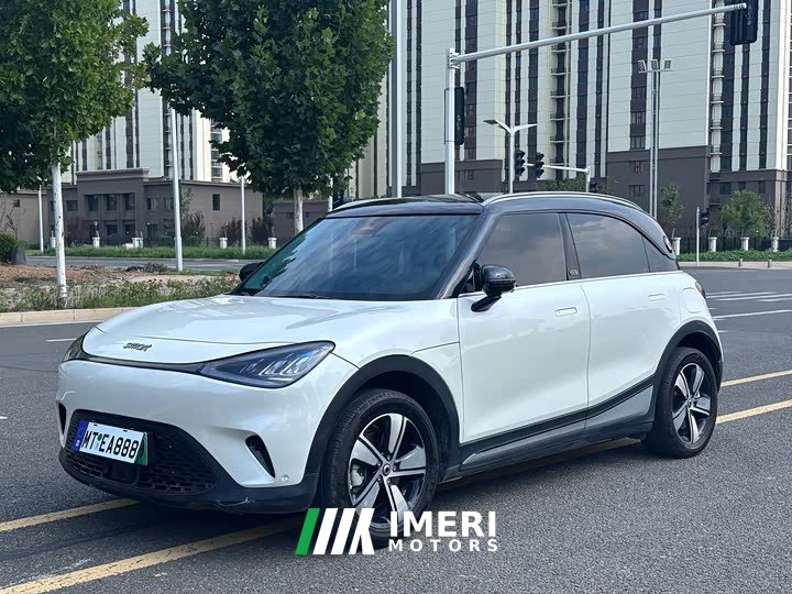 smart elf #1 2024 smart standard version - автомобиль из Китая