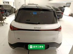 smart Elf #1 2024 Premium Edition - фото 6