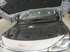 smart Elf #1 2022 Premium Edition - фото 20