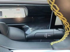 smart Elf #3 Pulse four-wheel drive version - фото 13