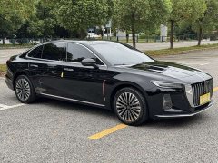 Hongqi H5 2.0T automatic Qichang version - фото 5