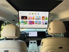Li Auto Ideal MEGA Home Family Special Edition - фото 14