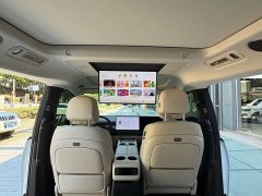 Li Auto Ideal MEGA Home Family Special Edition - фото 19