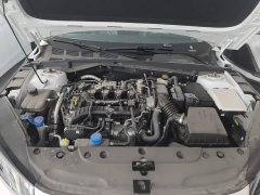 Ford Eado 2025 Blue Whale 1.5T 500Bar Premium Type - фото 10