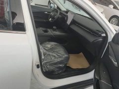 Ford Eado 2025 Blue Whale 1.5T 500Bar Premium Type - фото 8