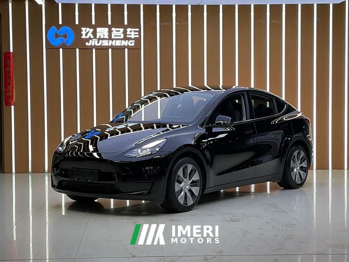 Tesla Model Y 2022 rear-wheel drive version - автомобиль из Китая