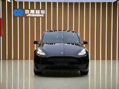 Tesla Model Y 2022 rear-wheel drive version - фото 2